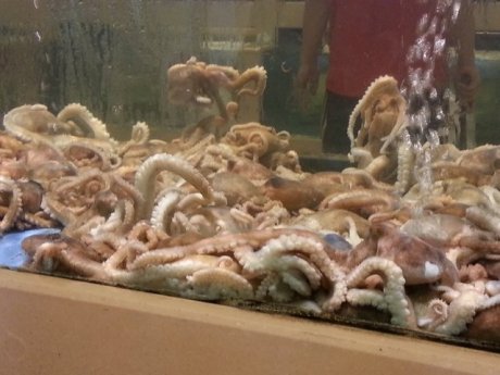 The dumpling restaurant. 