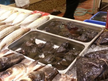 The dumpling restaurant. With frogs. I do not understand why they just sit there. They are alive and free, just JUMP!!!